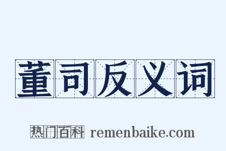 董司反义词是什么意思的图片